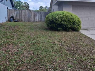 Leaf Removal by Vinnie Vazquez for Anton H. in Oviedo, FL