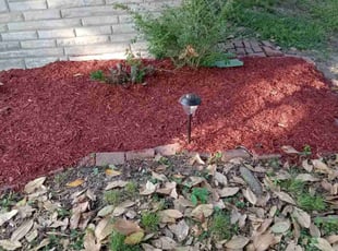 Mulching by David Rodriguez for Peggy M. in Belleville, IL