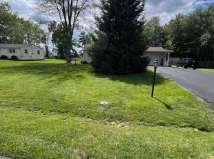 Daniel G.'s Lawn Mowing service result