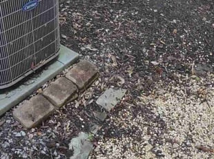 Leaf Removal by Bob Gilbert for Jun Y. in Pittsburgh, PA