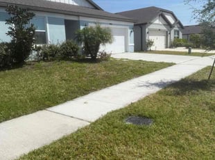 Weeding by William Chavers for Snehasree G. in Ruskin, FL
