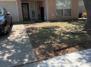 Leaf Removal by Victor/ Madeline Ramirez for Brandon C. in Arlington, TX