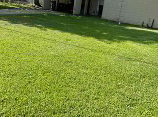 Kathy K.'s Lawn Service service result