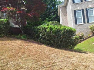 Bush Trimming by Marsha Cooper for Ginger H. in Lawrenceville, GA