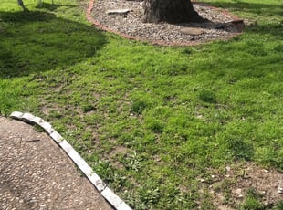Cleanups by Luciano Rivera for Jon B. in Dallas, TX