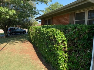 Bush Trimming by Benjamin Everett for Debra J. in Oklahoma City, OK