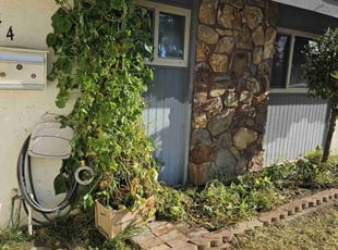 Bush Trimming by Brian Goodell for Jazmin W. in Oceanside, CA