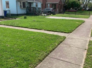 Ben U.'s Yard Cutting service result
