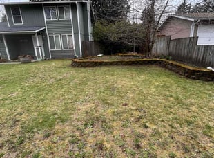 Cleanups by Tyna Burton for Alyth A. in Puyallup, WA