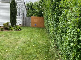Bush Trimming by Angel P. for Teresa V. in Falls Church, VA