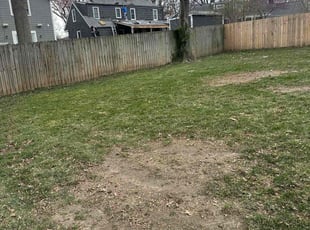 Leaf Removal by Darron Cotton for Grant S. in Prairie Village, KS