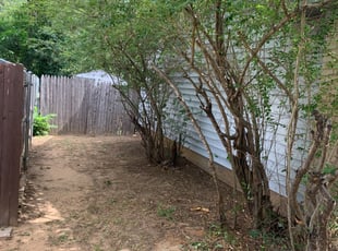 Bush Trimming by Nate Collins for Joseph N. in Arlington, TX