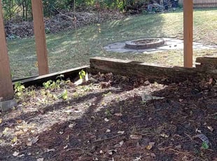 Leaf Removal by for Caleb H. in Minneapolis, MN