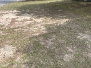 Leaf Removal by Jeff Osbeck for Julie T. in Lake Wales, FL