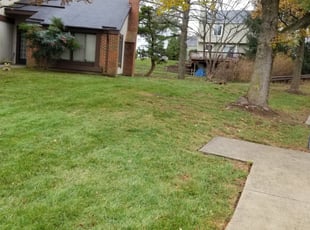 Leaf Removal by Miguel Santos for Glenn M. in Germantown, MD