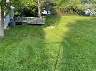 Catlin B.'s Lawn Service service result