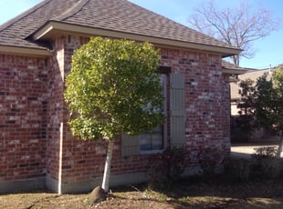 Bush Trimming by Brandon Underwood for Chris P. in Prairieville, LA