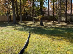 William N.'s Leaf Removal service result