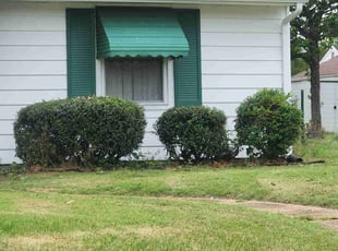 Bush Trimming by Carl Stephans for Glenn G. in Norfolk, VA