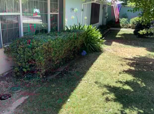 Bush Trimming by Jonathan Allen for Lawn S. in Sacramento, CA