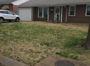 Cleanups by Bryan Scarborough for Jamie H. in St. Louis, MO