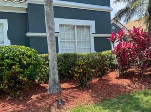 Bush Trimming by Ben Handy for Rick F. in Orlando, FL