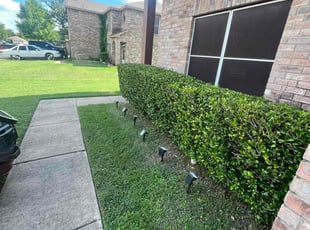 Judy B.'s Bush Trimming service result