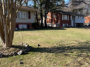 Cal G.'s Leaf Removal service result