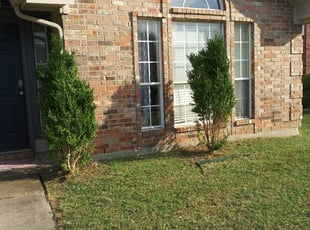 Bush Trimming by Robin Kieke for Keisha C. in Garland, TX