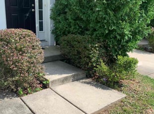 Bush Trimming by Scott Source for Lena D. in Randallstown, MD