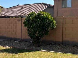 Bush Trimming by Gustavo Sandoval for Delmekia T. in Tolleson, AZ