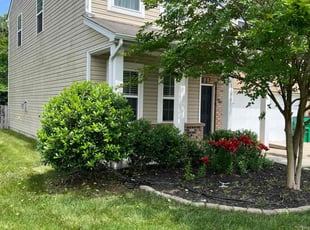 Bush Trimming by Russell Miller for Reyna R. in Charlotte, NC