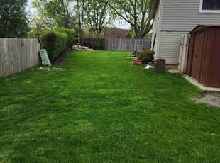 Deb K.'s Lawn Care service result