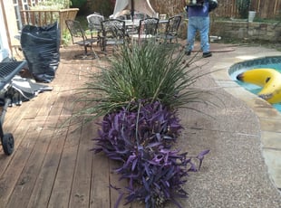 Cleanups by Vanessa Guevara for Melissa M. in Grand Prairie, TX