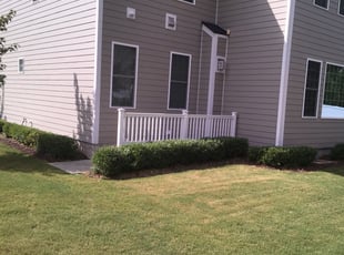 Bush Trimming by Carlos Gomez for Praveen N. in Cary, NC