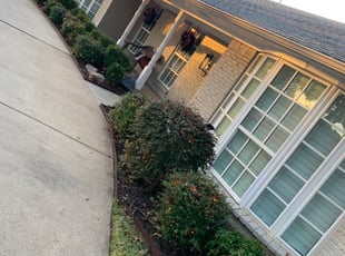 Leaf Removal by Sebastian Gomez for David H. in Dallas, TX