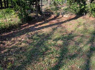 Cleanups by James/Andrea Robinson/Stafford for Stacey H. in Murfreesboro, TN