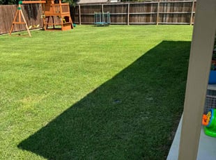 Arnetra J.'s Lawn Maintenance service result