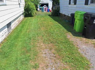 Debbie H.'s Lawn Service service result