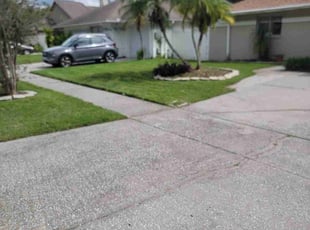 Mario C.'s Grass Cutting service result