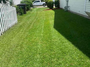 Erica B.'s Bush Trimming service result