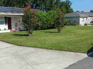 Cleanups by Jeff Owen for Cilla D. in Lakeland, FL
