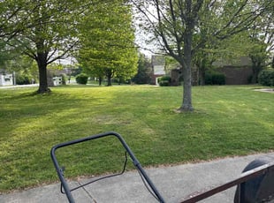 Asia C.'s Lawn Maintenance service result