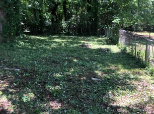 Cleanups by Eric Azcona for Tamika H. in Center Point, AL