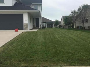 Rene H.'s Yard Cutting service result