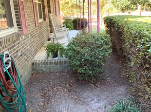 Cleanups by Charles Willard for Sandra F. in Columbia, SC