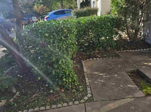 Bush Trimming by Rosemary Valle for Kim R. in Centreville, VA