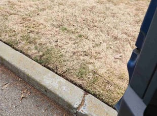 Leaf Removal by Russell Kassner for Gregg M. in Spokane, WA