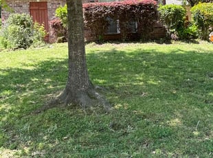 Bush Trimming by Jarrett Gammage for Angela B. in Clinton, MS