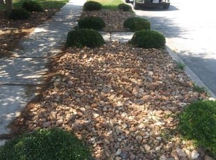 Bush Trimming by Juan Flores for Bhavana M. in San Antonio, TX